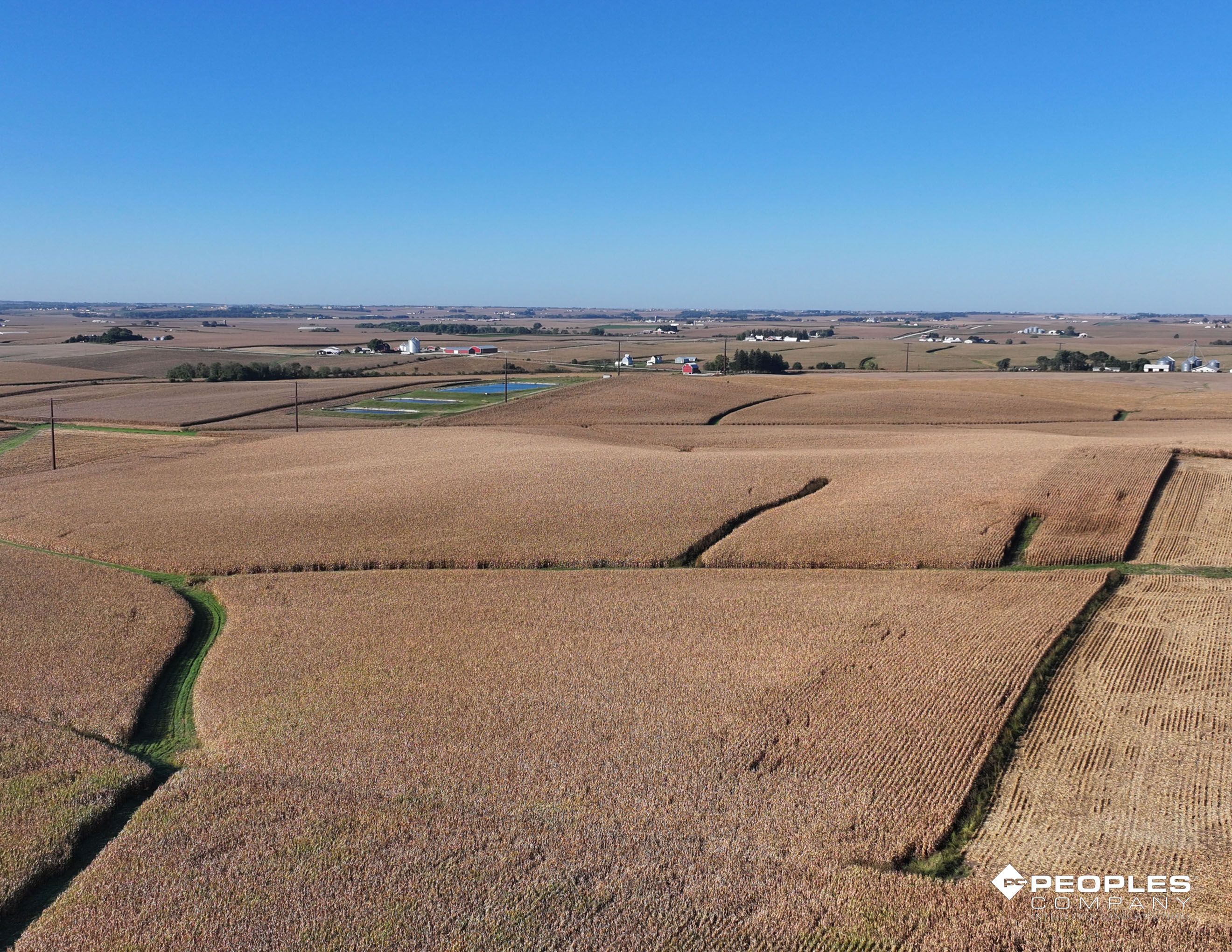 Listing Photo: Web 5